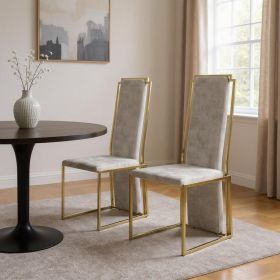 Set Of 2 Ultra Modern Beige Suede And Gold Dining Chairs