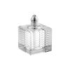 Hand Made Crystal Silver Pair Of Salt And Pepper Shakers