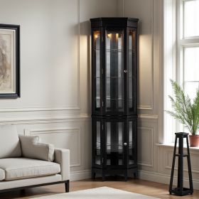 Elegant Black Lighted Curio Cabinet